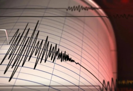 Ауғанстандағы жер сілкінісі: Бір отбасынан сегіз адам қаза тапты 