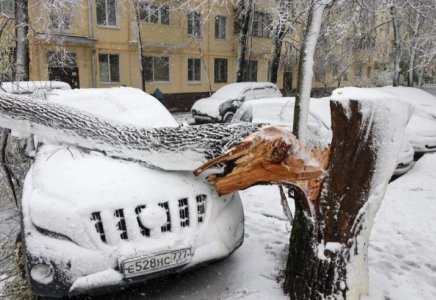 ​Мәскеуге кейінгі 150 жылда болмаған қалың қар жауды
