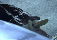 «Өртеп жіберген»: Ақсуда әйел адамның мәйіті жантүршігерлік жағдайда табылды