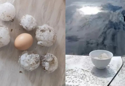 Қазақстанның батысында жұмыртқадай бұршақ үйлер мен көліктерді зақымдады