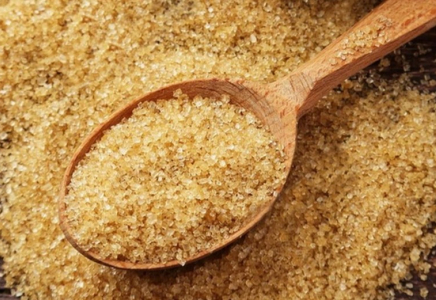 ​Алматыда желатин мен коллаген өндіретін зауыттың құрылысы басталды