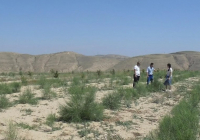 Маңғыстау облысында құм көшкінін тоқтату жұмыстары қарқын алды