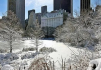 АҚШ-та қарлы боранда отыз шақты адам көз жұмды