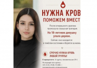 Алматыда қатты дауылдан 18 жастағы қыздың үстіне ағаш құлап, ауыр халде жансақтау бөліміне түсті