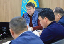 ТҮРКІСТАН: Шегірткеге қарсы химиялық өңдеу жұмыстары қарқын алды