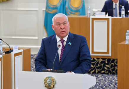 ​Қазақстанда бір палаталы Құрылтайды ықтимал тарату тетігін неғұрлым икемді ету ұсынылды