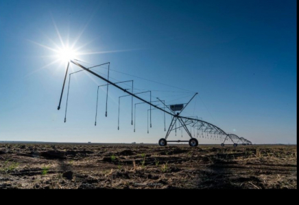 Жетісу облысында жаңбырлатып суару жүйесі қолға алынды