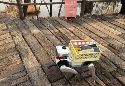 ​Қытайда робот-иттер смартфон бағасымен сатылымға шығарылды