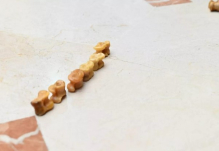 350 мыңнан астам бала 