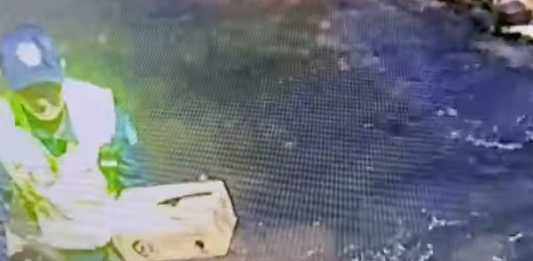 ​Шымкентте полицейлер мұздай суға түсіп кеткен марғауларды құтқарып қалды