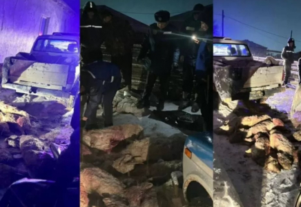 Маңғыстау облысында заңсыз киік тасымалдаған күдікті ұсталды