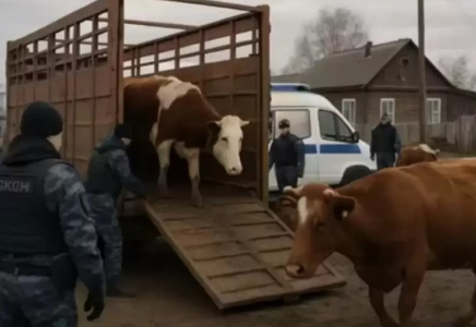 Ресей Қазақстанмен шекаралас облыста төтенше жағдай жариялады