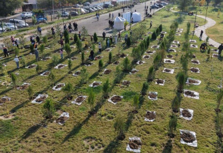 «ТАЗА ҚАЗАҚСТАН»: Түркістан облысында жыл басынан бері 7 мыңнан аса тазалық іс-шарасы өтті