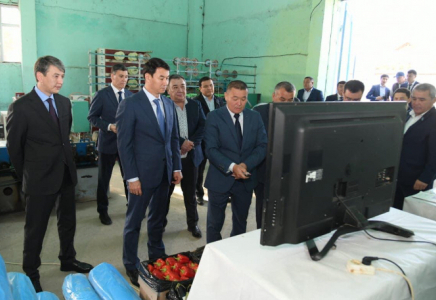 ТҮРКІСТАН: Келесте жылыжай шаруашылығына қажетті заттар шығарылады