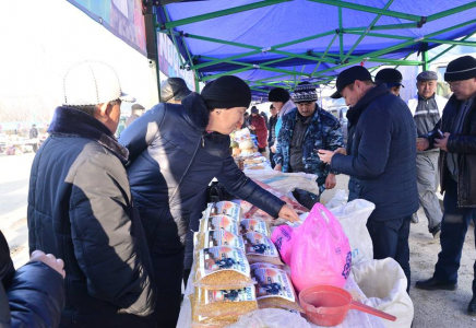 ​Отырарда мерекелік жәрмеңке өткізілді