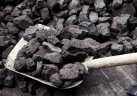Түркістан облысында 100 000 тонна көмір қоры бар