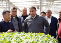 ТҮРКІСТАН: Жылыжайларды тиімді әдіспен жылыту жолдары енгізіліп жатыр