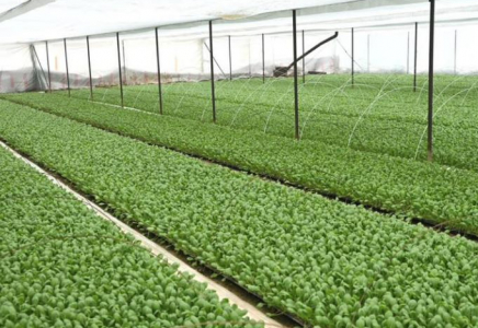 ТҮРКІСТАН: Жетісайда үйіргелік жерлерді тиімді пайдалану жұмыстары күшейтілді