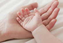 Түркістан облысы демографиялық өсім бойынша көш бастады