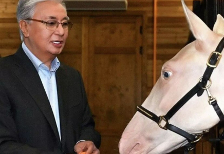 Президент сыйға тартылған тұлпарларды арнайы барып көрді