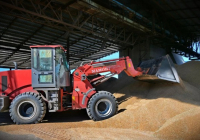 Ақмола облысында астықты терең өңдеу зауыты салынады