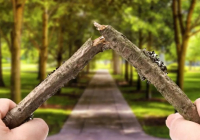 Енді әкімдіктер де полиция сияқты қазақстандықтарға айыппұл сала алады