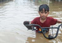 ​Индонезияда лай көшкіні мен су тасқыны салдарынан 7 адам мерт болды