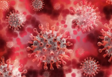 ​Ұлыбританияда қауіпті вирустың жаңа штамы табылды