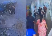 «Өзен бойына апарып, 3 жігіт ұрып өлтірді»: Таразда жас дәрігердің өліміне қатысты туыстары мәлімдеме жасады