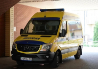 90 жастағы қазақстандық құрма жеймін деп өліп кете жаздады