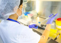 ​Батыс Қазақстанда 26 адам бруцеллез жұқтырған