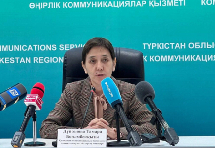 ТҮРКІСТАН: 100 мыңнан астам жас мемлекет тарапынан субсидияланатын жұмыс орындарына тартылады