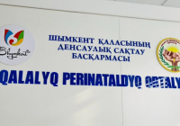 ​75 дней борьбы за жизнь: как врачи Шымкента спасли малыша весом 700 грамм