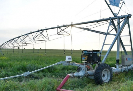 Түркістан облысында күріш егістігіне жаңа технология енгізіліп жатыр