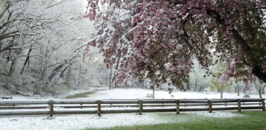 Қазақстанда алдағы демалыс күндері қар жауады