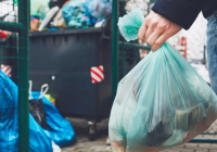 Семейде жаңа туған сәбидің денесі қоқыс жәшігінен табылды