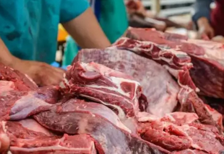 ​Ресейде пастереллездің таралуы: Қазақстан бақылауды шараларын күшейтті