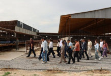 Түркістан облысындағы шағын өндірістік парк құру тәжірибесі өзге өңірлерде қолданылады