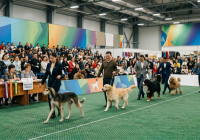 ​«Astana Winner 2026» халықаралық кинологиялық көрмесі өтеді
