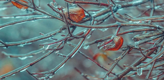 Еліміздің 15 өңірінде дауылды ескерту жарияланды
