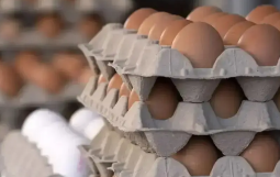 Қазақстанда жұмыртқа импортына уақытша тыйым салынды