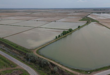 Түркістан облысында сор шаю үшін 400 млн текше метр су берілді