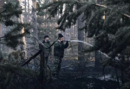 Елімізде орман өртін ерте анықтау жүйесі іске қосылады