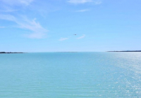 Балқаш жағалауындағы пайдаланылмаған жер мемлекет меншігіне қайтарылды