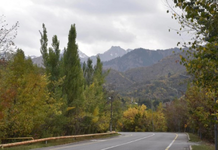 Тауда мал баққан: Алматы облысында бір отбасынан 4 адам қайтыс болды