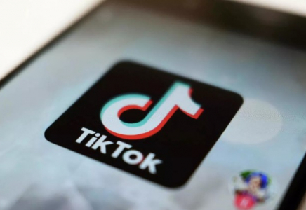 Депутаттар TikTok пен YouTube-тегі контентті шектеуді талап етті