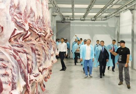 Түркістан облысында 5 мың басқа арналған заманауи мал бордақылау кешені және ет комбинаты іске қосылды