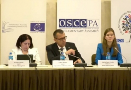 ​ДИАҚБ Қазақстандағы сайлаушылар тізімінің дұрыстығына деген зор сенімін білдірді