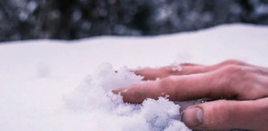 Ақмолалық ер адам өз ауласынан өлі күйінде табылды