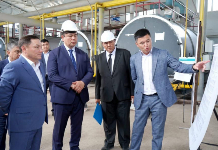 Премьер-Министрдің кеңесшісі Түркістан облысына келді